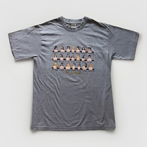 Vintage St Lucia Shirt Graphic Cartoon Boobs Fruit Tee Gray L Adult Humor Sex - Picture 1 of 8